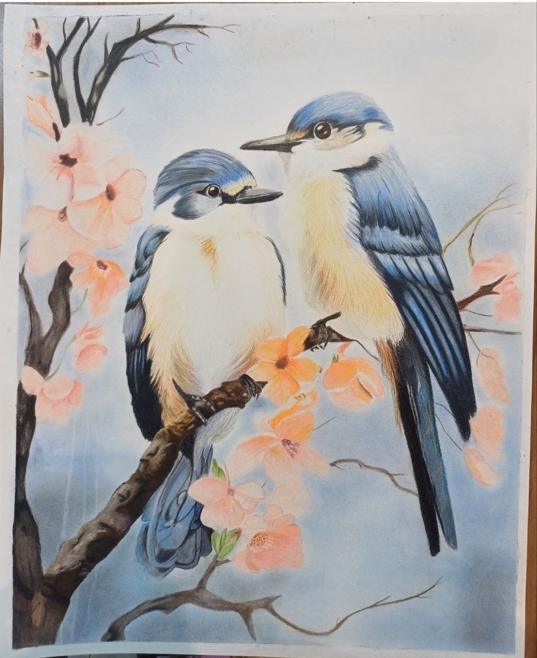 Birds